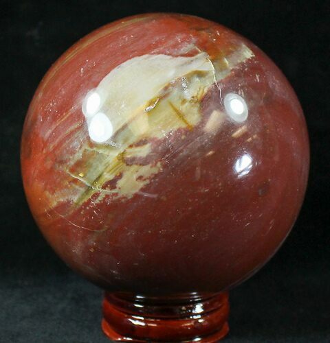 Colorful Petrified Wood Sphere #20646